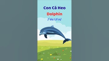 Con Cá Heo - Học từ vựng và phát âm tiếng Anh #thaytuvuitinh