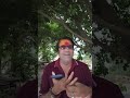 Live highlight
