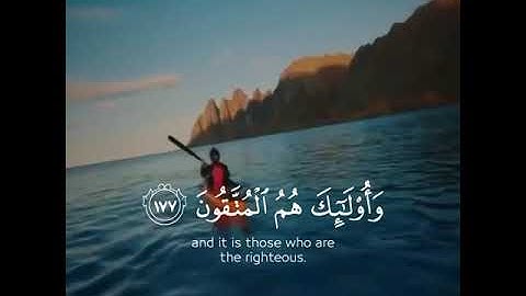 قرآن الكريم بصوت ماهر المعيقلي اجمل حالات واتس اب دينية سورة البقرة فيديو قصيره 🤍🌿