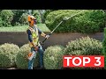 TOP 3 Best Hedge Trimmer With Extension Pole 2025