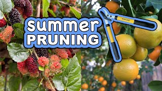 How I Prune Everbearing Fruit Trees & Perennials For More Fruits by Wendi Phan 1,672 views 9 months ago 17 minutes
