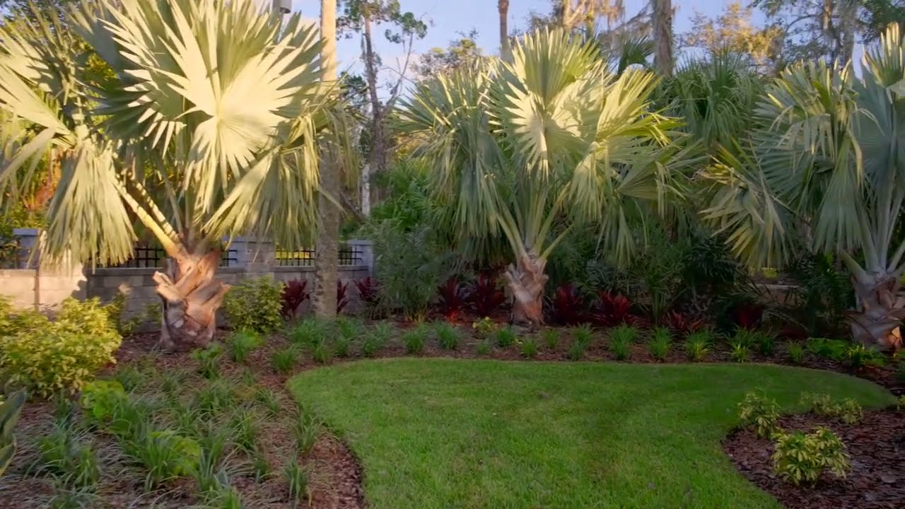 Tropical Palm Valley Estate Landscape in Ponte Vedra Beach