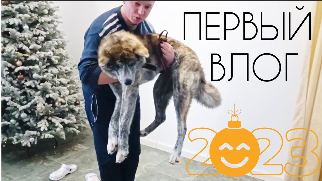 Первый влог l Новые кролики l Новая собака l Новый год 2023