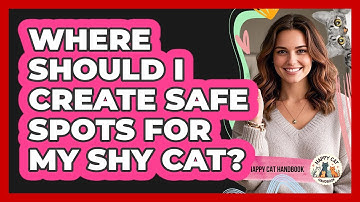 Where Should I Create Safe Spots For My Shy Cat? - Happy Cat Handbook