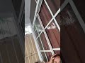 VERONICA, la super modelo de Instagram y Tik-tok.The sexy model that's taking over the internet.