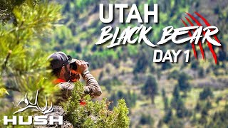 SPOT AND STALK UTAH BLACK BEAR | EP 01