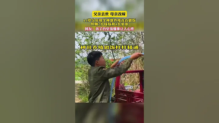 父親去世母親改嫁，15歲少年輟學種地養殖洗衣做飯照顧七歲妹妹和四歲弟弟，網友：孩子的堅強懂事讓人心疼。 - 天天要聞