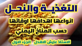 تغذية النحل حسب المناخ والاجواء في اليمن انواعها اهدافها اوقاتها الجزء 1 للاستاذ عايش الاهدل
