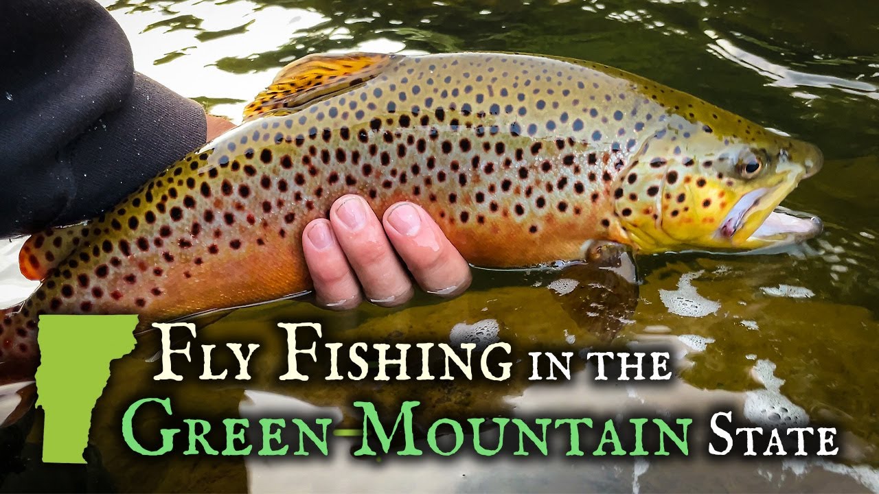 Trout Fishing Odyssey in Vermont 2021 