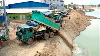Super Power Truck Transport & Unloading Project Soil On Downhill In Water Making Road By Dozer Push