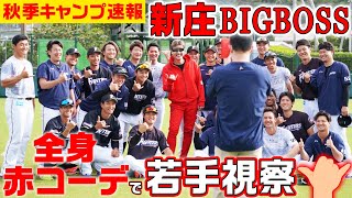 【秋季キャンプ速報】新庄BIGBOSS 全身赤コーデで若手視察！