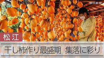 Thumbnail for 特産の干し柿の生産が最盛期、オレンジ色のすだれが集落を彩る