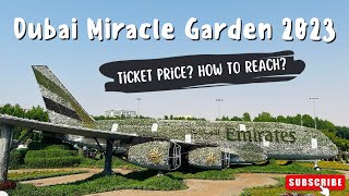 Dubai Miracle Garden 2023 | World’s Largest Flower Garden in UAE | Ticket price and how to reach?
