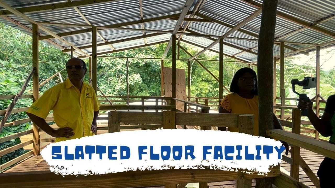 Slatted Unit A LOOK AT A NEWLY BUILT SLATTED FLOOR FACILITY FOR GOAT AND SHEEP - YouTube