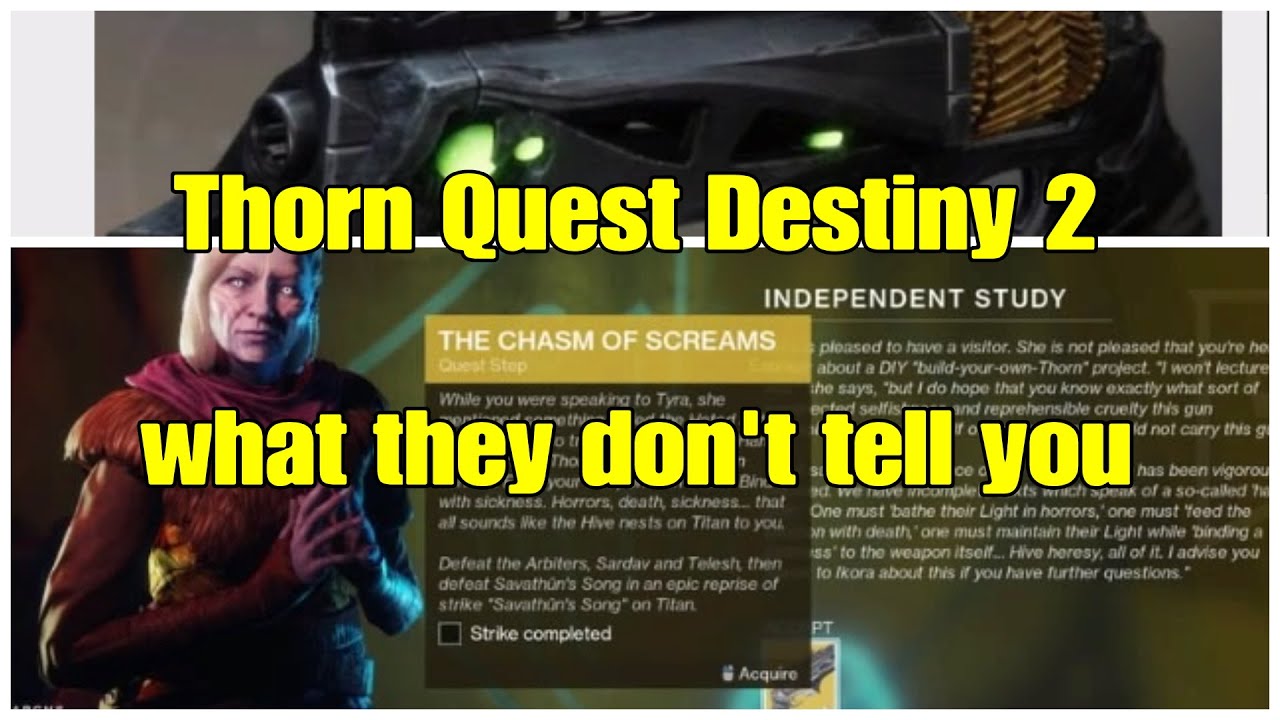 What They Don't Tell You About THORN Quest - Beginner Friendly Guide