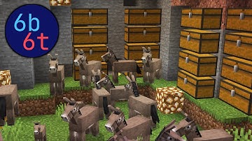 Donkey Dupe - 2b2t alternative - 6b6t.org