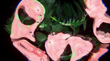 TIBASKO - Hibiscus (Official Video)