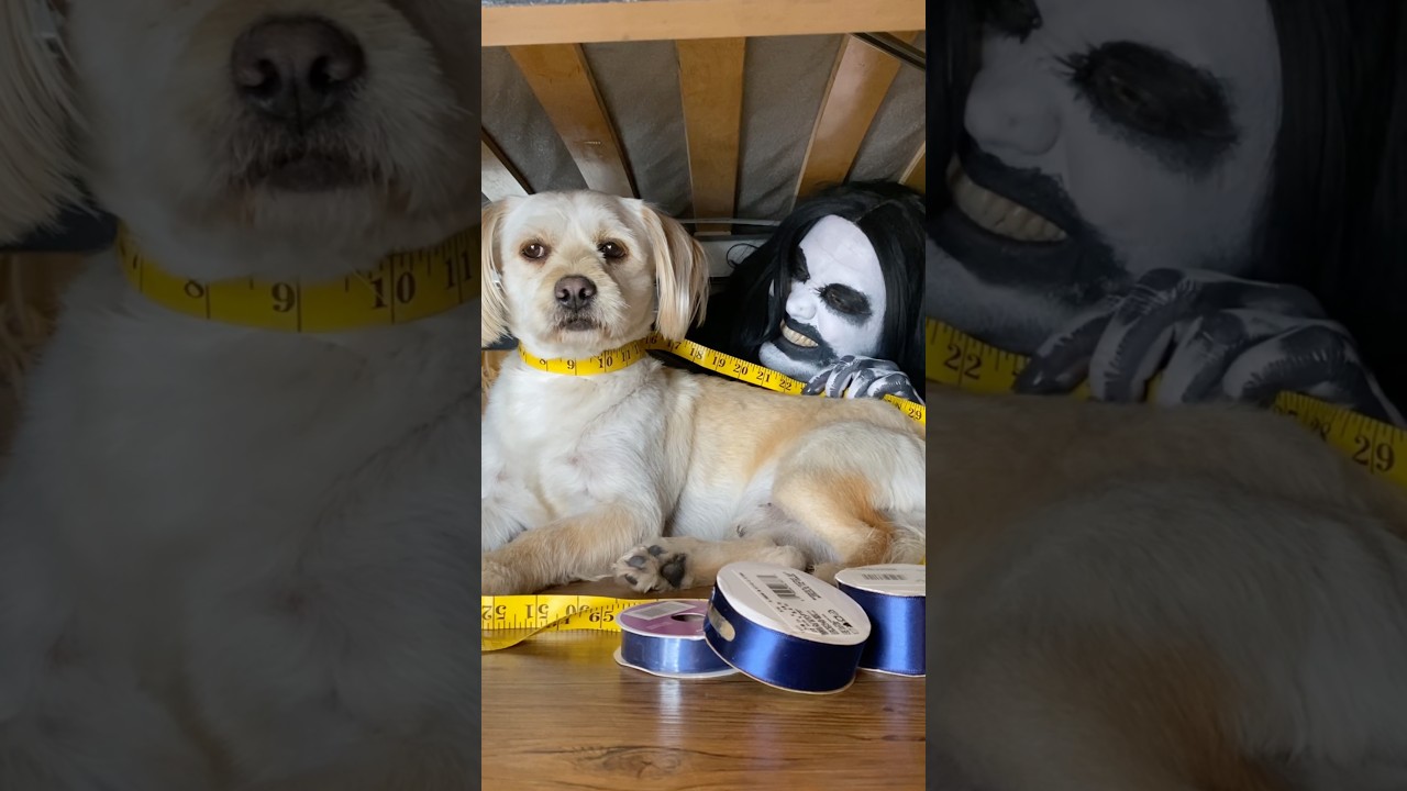Original Title & Thumbnail