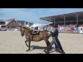 Grand prix show bastiaan de recht  accent music horse event 2016