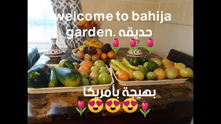 Welcome to bahija garden.شاركت معكم مزروعاتي في حديقتي بأمريكا