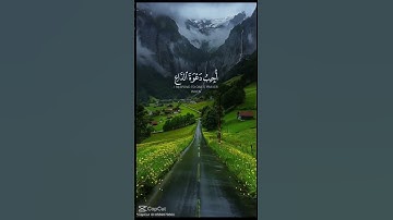 قرآن كريم بصوت جميل 😇 أرح سمعك. #اكسبلور #المصحف #لايك #الرحمن #تيك_توك #القزابري #دويتو #الطحان