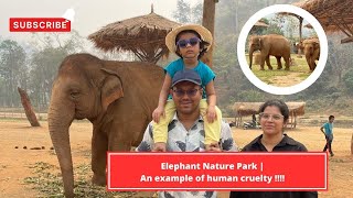 Why is the Elephant Nature Park in Chiang Mai an example of human cruelty?