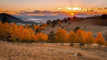 تلاوة عطرة في قمة الجمال تطمئن بها القلوب