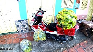 40 túi rau củ quả 0 đồng về những bà con xóm nghèo quanh núi Cô Tô, Tri Tôn, An Giang 18/04/24