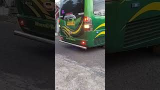 elf long pariwisata  modifikasi gasruk screenshot 4