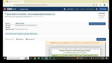 Excel 2021 In Practice - Ch 2 Independent Project 3-4 | Step-by-Step SIMnet Solution | Excel 2024