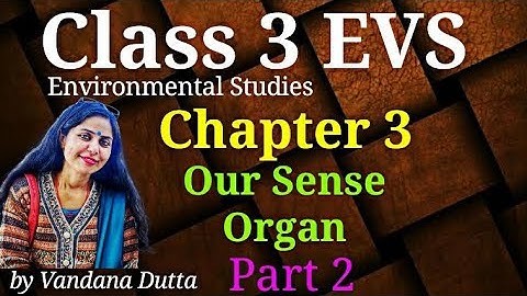 Environmental Studies Class 3  | Our Sense Organ | Class 3 EVS Chapter 3 | Part 2 |