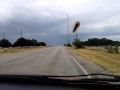 Bee hang on the windshield at 75mph