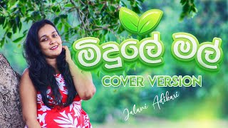 Video thumbnail of "Midule Mal Sooriya Gaha Mudune Cover Version | Jalani Adikari | Sri Hada Video"
