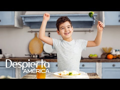 Video: Que Comida Darle A Un Niño A La Escuela