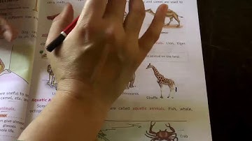 EVS chapter -3 The world of Animals of class 2nd