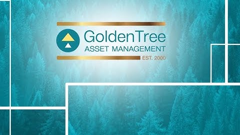 GoldenTree Annual Investor Conference Highlights, 2022