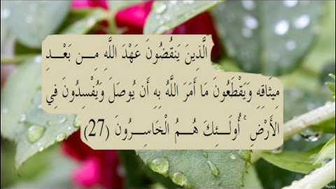 القران الكريم سورة البقرة الاية 27