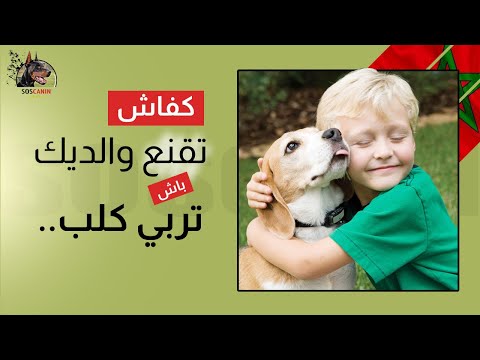 فيديو: كيفية معرفة عمر الجراء (بالصور)