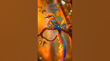 "كلما دخل عليها زكريا المحراب... فُتح باب السماء! | آل عمران 37-38" #آيات #ايات_الشفاء
