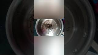 Making Chinese Refined Tea