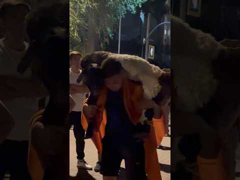 Құрбан Айт кроссфит #курбанайт #приседаниесбарашком #казахстан #алматы