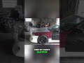 Transform Chao's Car: Full Blackout Paint Match! #shorts