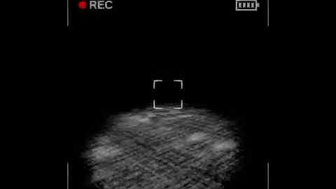 Content Warning: Absolute Chaos to Peace and Calmness