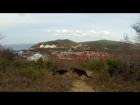 Video: Anapa riserva 