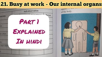 5th Std - Evs 1 - Chapter 21 Busy at work - our Internal Organs explained in hindi - Part 1 -Class 5