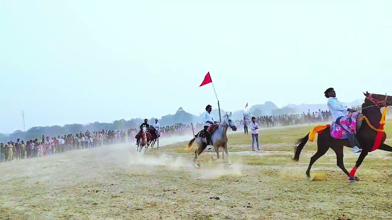 घोड़ा रेस 🐎 people and block