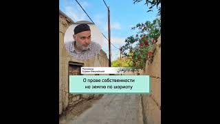 О праве собственности на землю по шариату #аух