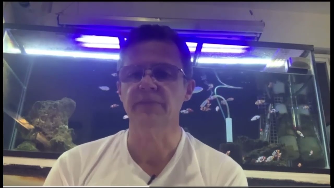 Odinium en peces marinos que es y como tratarlo