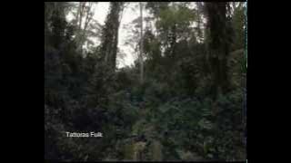 LORON IDA HAU SEI FILA - Chico Maulohi