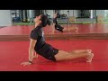 Animal flow movement - Practice video